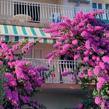 With Parking Space - 24737 Appartement *